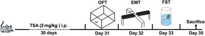 Trichostatin A relieves anxiety-and depression-like symptoms in APP/PS1 mice